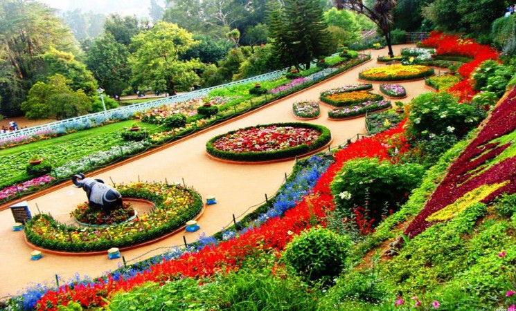 Journeys Shared and Solitary: Finding Stories on the Road bangalore ooty tour