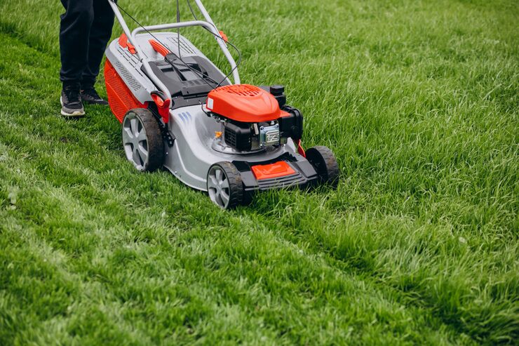 Practical Reasons to Hire a Landscape Company Before Major Outdoor Parties landscaping services near me